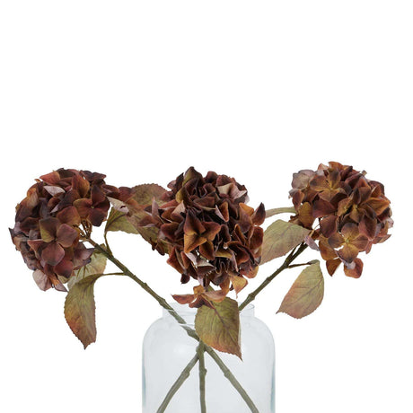 Mixed Autumn Browns Single Hydrangea Stem Shades 4 Seasons