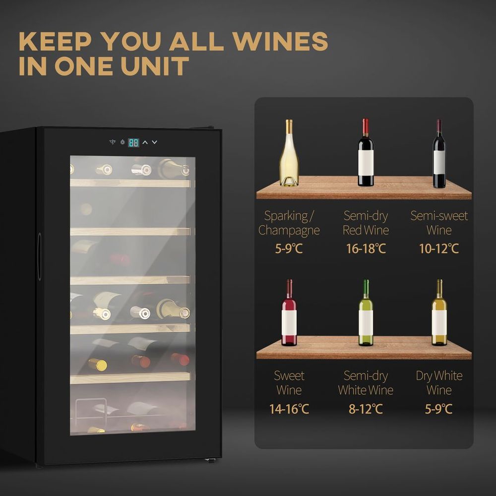 24 Bottles Wine Fridge with Glass Door Digital Touch Screen Control LED Light HOMCOM