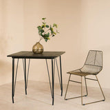 Orsina Wire Chair beside a minimalist black table with a vase of greenery
