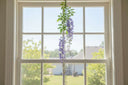 Artificial Wisteria Spray hanging in a sunny window, adding a touch of floral elegance to home decor