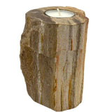Petrified Wood Candle Holder - Single Tall AW Dropship UK