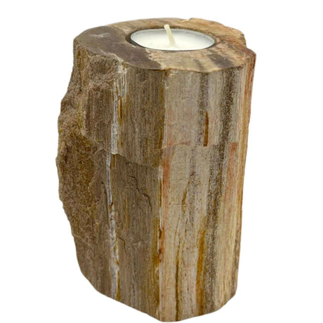 Petrified Wood Candle Holder - Single Tall AW Dropship UK
