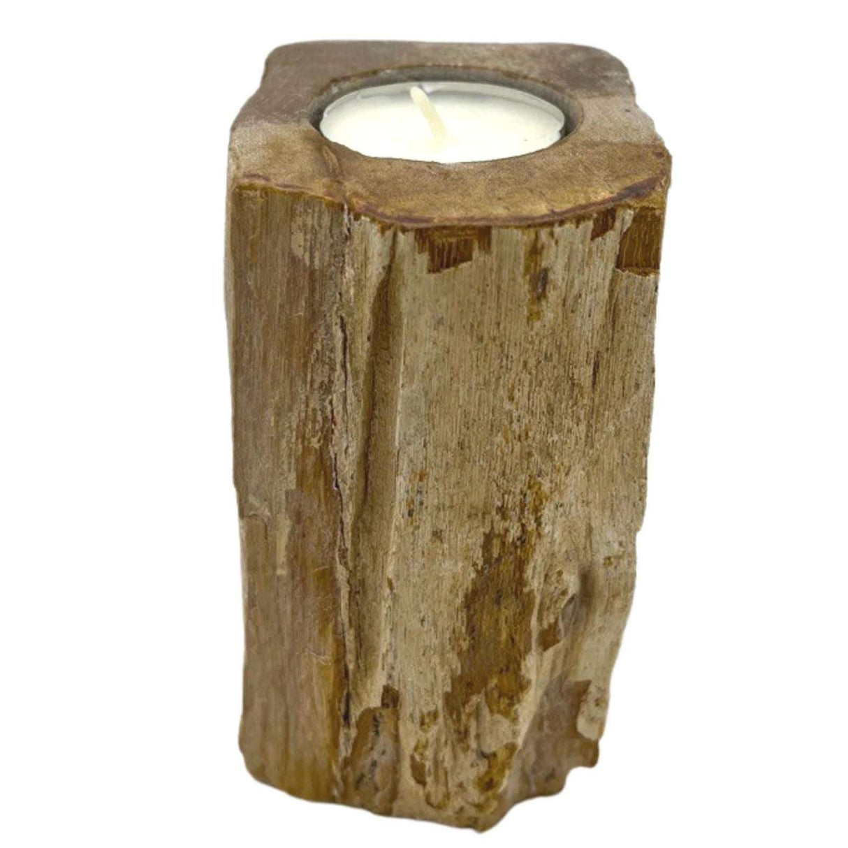Petrified Wood Candle Holder - Single Tall AW Dropship UK