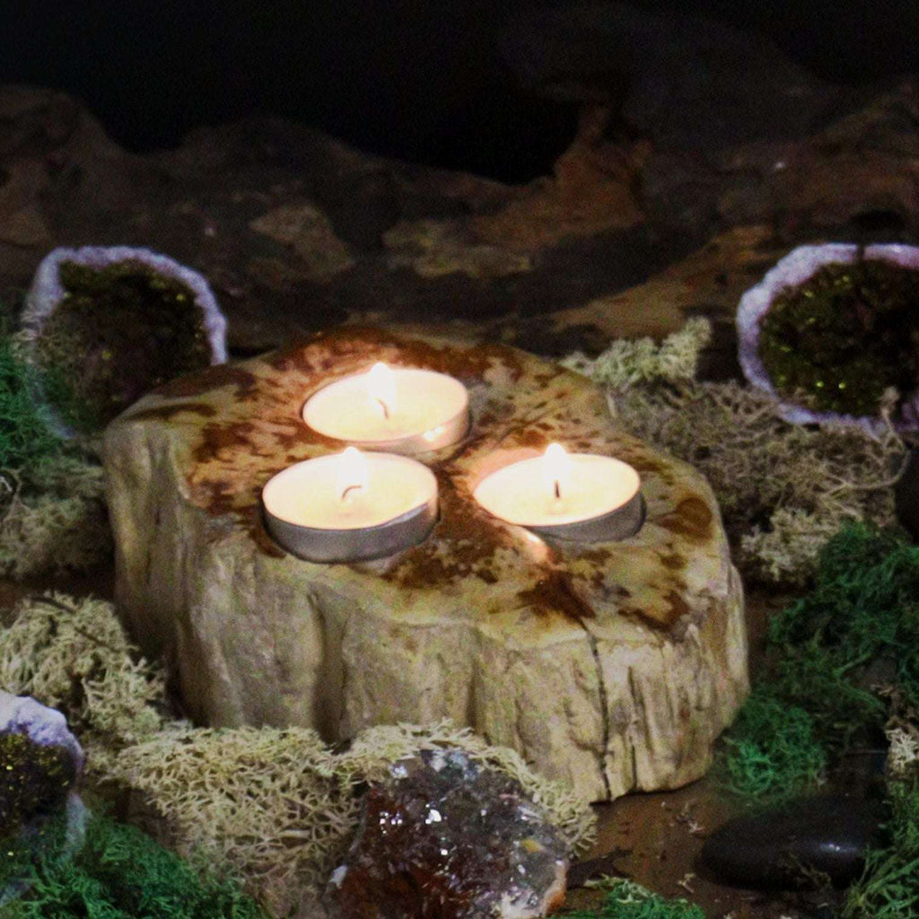 Petrified Wood Candle Holder - Triple AW-Dropship