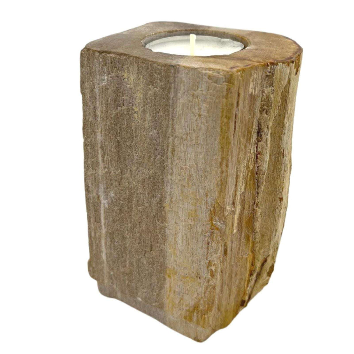 Petrified Wood Candle Holder - Single Tall AW Dropship UK