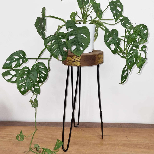 Albasia Wood Plant Stand - Natural & gold detail AW Dropship UK