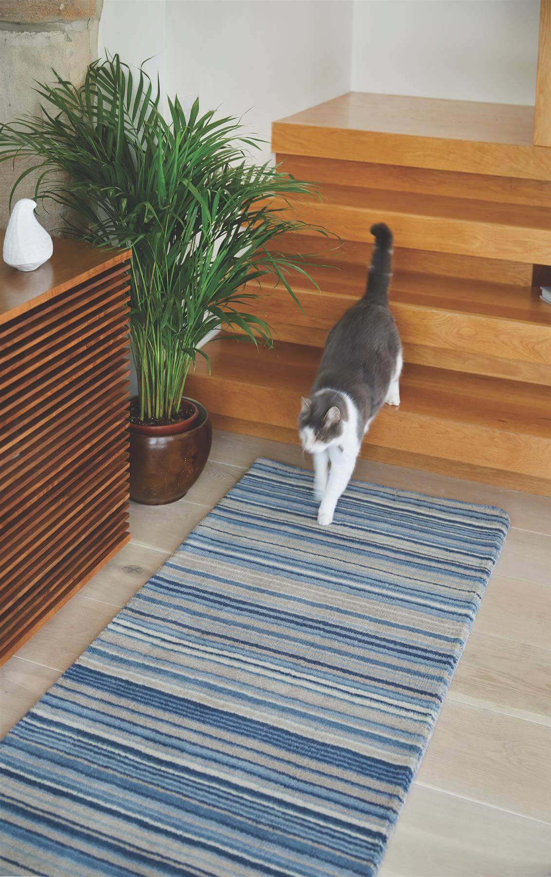 Wool rug in blue and grey stripes, placed in a stylish home setting with a cat walking on it
