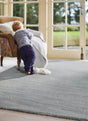 Child playing on a soft grey Wool Rug in a bright living room with large windows