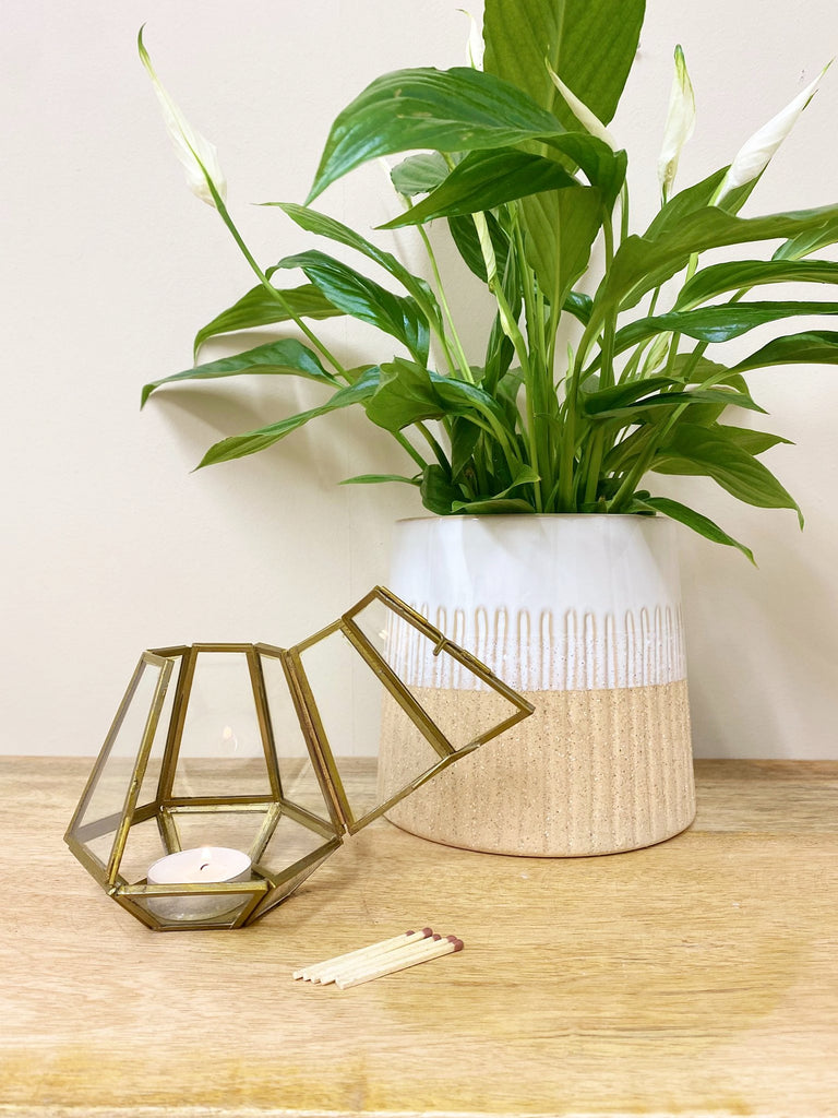 Bronze Glass Tea Light Holder Small - Shades 4 Seasons