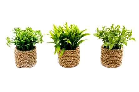 A Set Of Three Rope Effect Pots And Artificial Succulents - Shades 4 Seasons