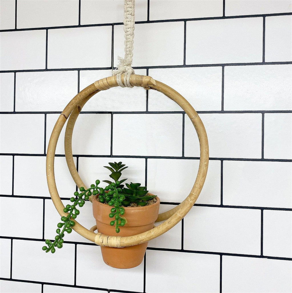 Faux Succulent In Bamboo Hanger - Shades 4 Seasons