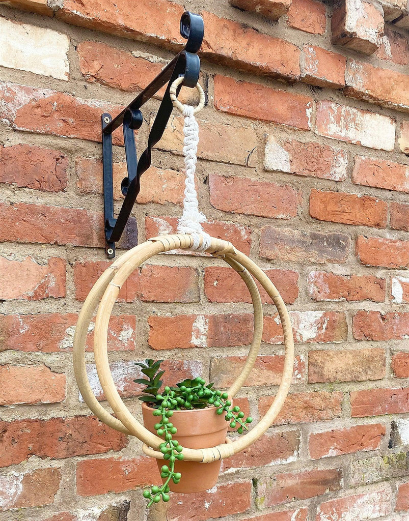 Faux Succulent In Bamboo Hanger - Shades 4 Seasons