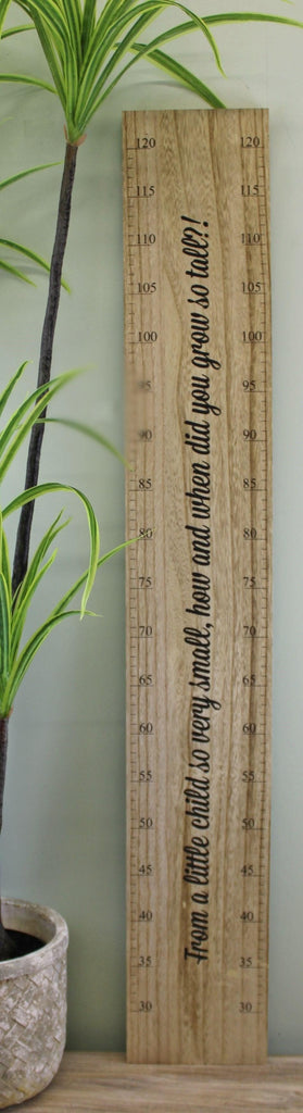 Height Chart Wall Plaque, How Did You Grow So Tall?, 100cm - Shades 4 Seasons