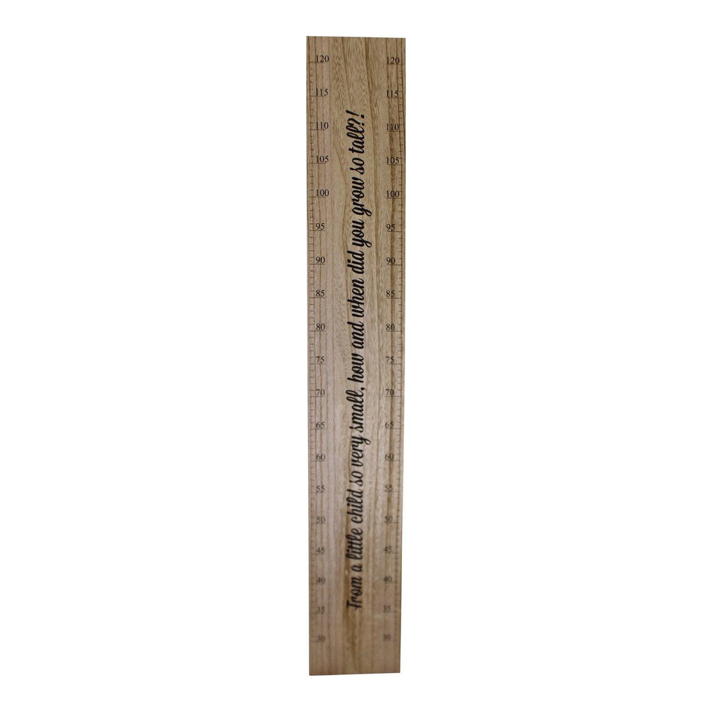 Height Chart Wall Plaque, How Did You Grow So Tall?, 100cm - Shades 4 Seasons