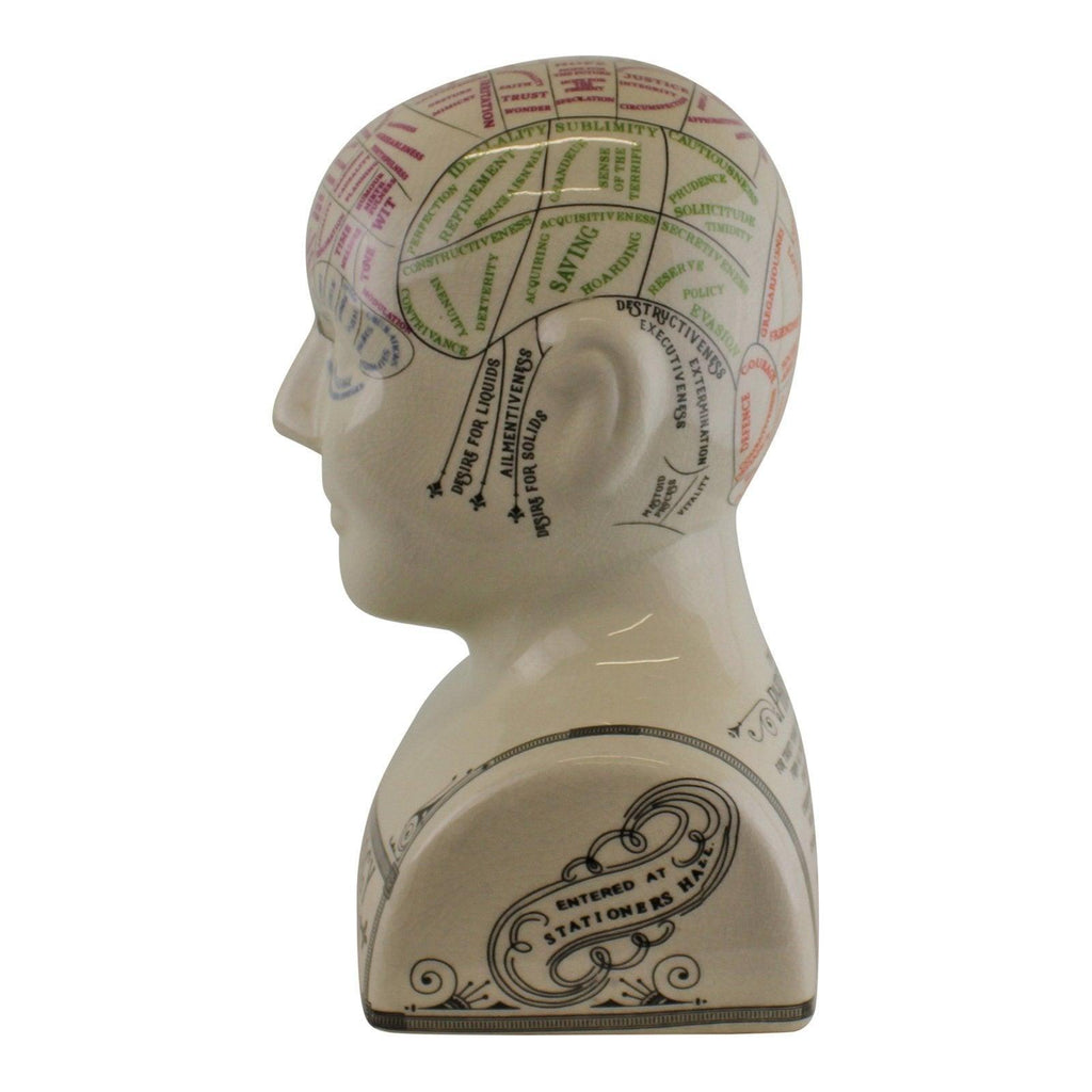 Large Ceramic Crackle Phrenology Head - Shades 4 Seasons