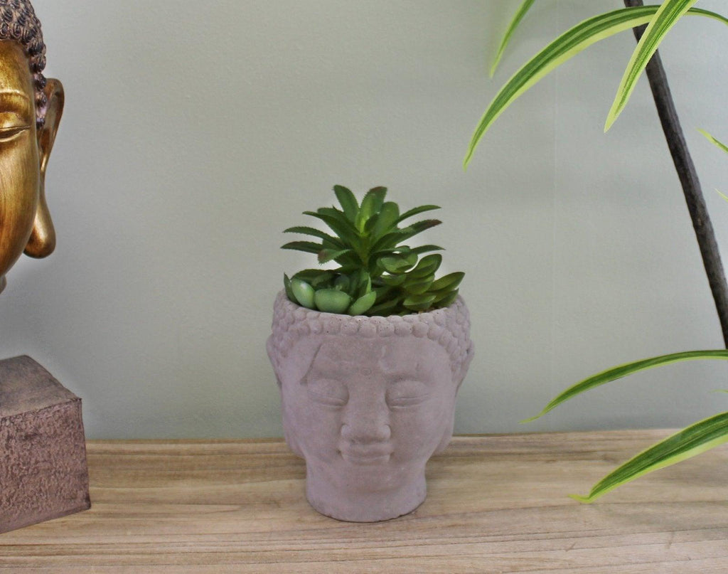 Trio of Faux Succulents in Buddha Head Cement Pot - Shades 4 Seasons