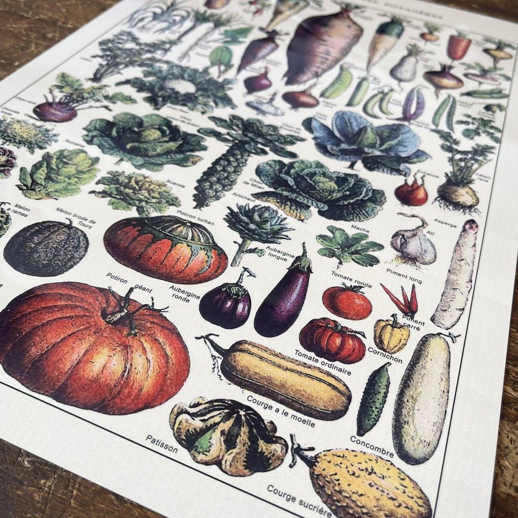 Vintage Metal Sign - Vintage Botanical Kitchen Vegetables Sign - Shades 4 Seasons